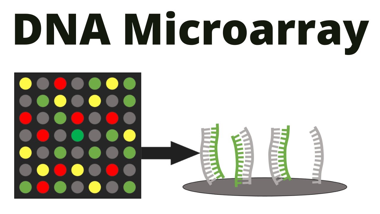 Chip de microarray